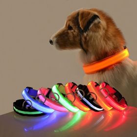 Glow-In-The-Dark Pet Collar For Dog & Cat; LED Dog Collar For Night Walking; USB charging - White - XS