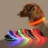 Glow-In-The-Dark Pet Collar For Dog & Cat; LED Dog Collar For Night Walking; USB charging - Orange - L