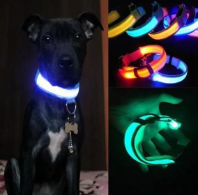 Pet Dog Nylon Safety Collar LED Light Puppy Necklace Dog Accessories - blue