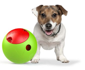 The Foobler Timed, Self Reloading Puzzle Feeder for Dogs Toy Ball - DT55GNRD