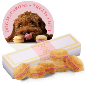 Dog Macarons - Count of 6 (Dog Treats | Dog Gifts) - Strawberry