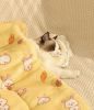 Pet Blanket Dog Cat Bed Winter Warm Mat Four Seasons Universal Blanket - carrots - M