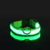 Glow-In-The-Dark Pet Collar For Dog & Cat; LED Dog Collar For Night Walking; USB charging - Green - XL