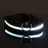 Glow-In-The-Dark Pet Collar For Dog & Cat; LED Dog Collar For Night Walking; USB charging - Green - XL