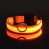 Glow-In-The-Dark Pet Collar For Dog & Cat; LED Dog Collar For Night Walking; USB charging - Yellow - XL