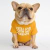 dog clothes starling English short bulldog pet clothing round collar T-shirt Teddy than panda dog clothing - yellow - L