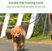 Dog Leash Durable Slip Training Lead Heavy Duty 6 FT Comfortable Strong Reflective Rope Slip Leash for Small Dogs Green - S-3/8"