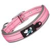 Pet dog collar; diving cloth reflective nylon collar; medium and large dog collar - Color ribbon: blue - M 2.5*(38-48)CM