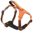 Pet Life 'Geo-prene' 2-in-1 Shock Absorbing Neoprene Padded Reflective Dog Leash and Harness - Orange - Medium