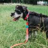 Touchdog 'Trendzy' 2-in-1 Matching Fashion Designer Printed Dog Leash and Collar - Red - Small