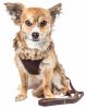 Pet Life Luxe 'Furracious' 2-In-1 Mesh Reversed Adjustable Dog Harness-Leash W/ Removable Fur Collar - Brown - Large