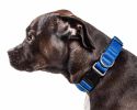 Pet Life 'Aero Mesh' 360 Degree Dual Sided Comfortable And Breathable Adjustable Mesh Dog Collar - Blue - Small