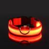 Glow-In-The-Dark Pet Collar For Dog & Cat; LED Dog Collar For Night Walking; USB charging - Red - XL