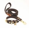 Flower Print Pet Dog Collar Leash Set For Small Medium Dogs Leather - L - Black