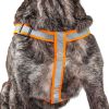 Reflective Stitched Easy Tension Adjustable 2-in-1 Dog Leash and Harness - Medium