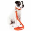 Pet Life 'Aero Mesh' 2-In-1 Dual Sided Comfortable And Breathable Adjustable Mesh Dog Leash-Collar - Orange - Medium