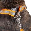 Reflective Stitched Easy Tension Adjustable 2-in-1 Dog Leash and Harness - Small