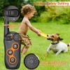 Dog Training Collar with Remote Rechargeable Electronic Shock Collar - Black