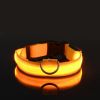 Glow-In-The-Dark Pet Collar For Dog & Cat; LED Dog Collar For Night Walking; USB charging - Yellow - M