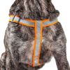 Reflective Stitched Easy Tension Adjustable 2-in-1 Dog Leash and Harness - Small