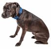 Pet Life 'Aero Mesh' 360 Degree Dual Sided Comfortable And Breathable Adjustable Mesh Dog Collar - Blue - Small