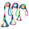 1 Set Nylon Rainbow Pet Dog Collar Harness Leash Soft Walking Harness Lead Colorful and Durable Traction Rope 120cm - iridescent - S