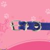 Pet Supplies Dog Collar Alloy Buckle Dog Chain Cat Necklace Size Adjustable for Small and Medium-sized Dog Collars Dog Supplies - green - 25cm