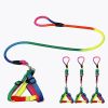 1 Set Nylon Rainbow Pet Dog Collar Harness Leash Soft Walking Harness Lead Colorful and Durable Traction Rope 120cm - iridescent - S