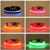 Pet Dog Nylon Safety Collar LED Light Puppy Necklace Dog Accessories - green