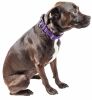 Pet Life 'Aero Mesh' 360 Degree Dual Sided Comfortable And Breathable Adjustable Mesh Dog Collar - Purple - Small