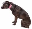 Pet Life 'Aero Mesh' 360 Degree Dual Sided Comfortable And Breathable Adjustable Mesh Dog Collar - Pink - Medium