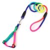 1 Set Nylon Rainbow Pet Dog Collar Harness Leash Soft Walking Harness Lead Colorful and Durable Traction Rope 120cm - iridescent - S