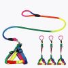 1 Set Nylon Rainbow Pet Dog Collar Harness Leash Soft Walking Harness Lead Colorful and Durable Traction Rope 120cm - iridescent - M