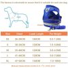 Summer Strap-style Dog Leash Adjustable Reflective Vest Walking Lead for Puppy Polyester Mesh Harness Small Dog Collars - blue - S